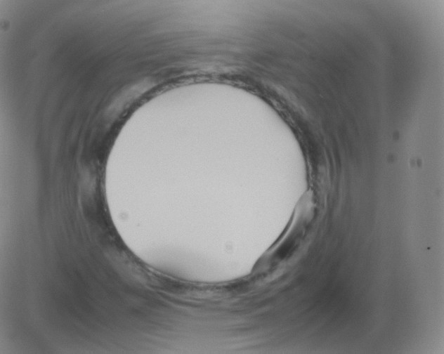 X0000082691257200702232155