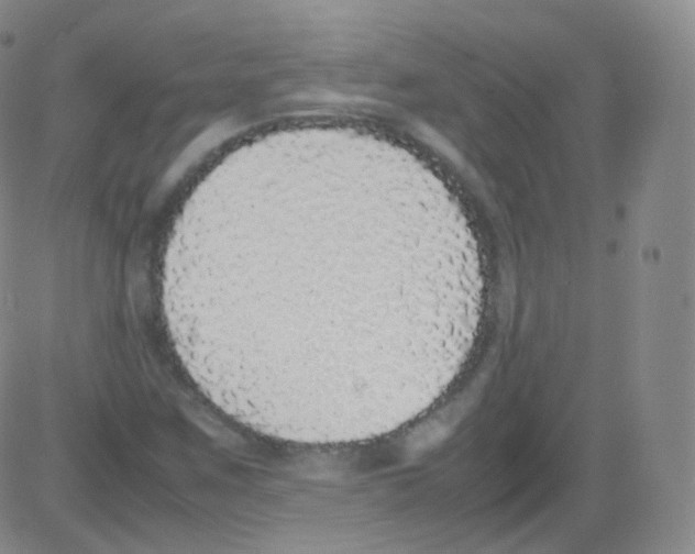 X0000082691259200702232155