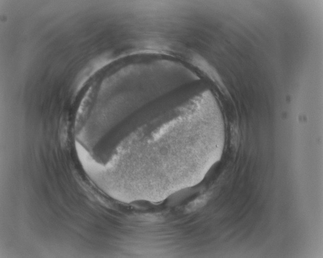 X0000082691260200702232155