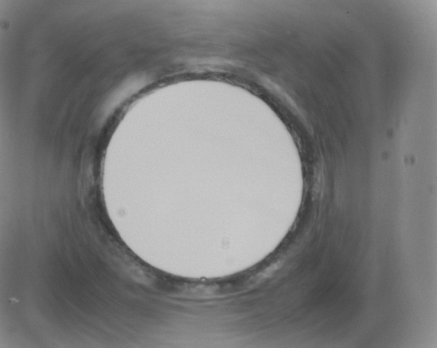 X0000082691261200702232155