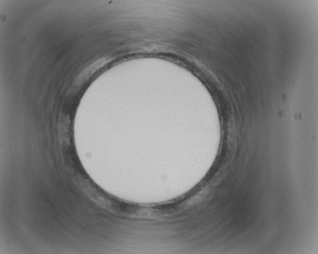 X0000082691265200702232155