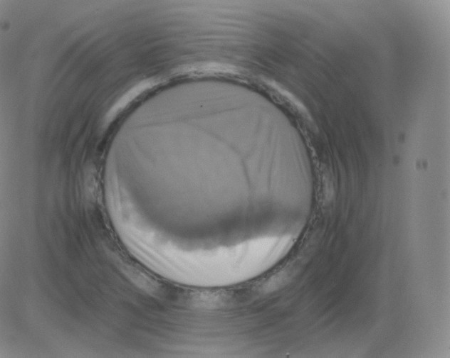 X0000082691266200702232155