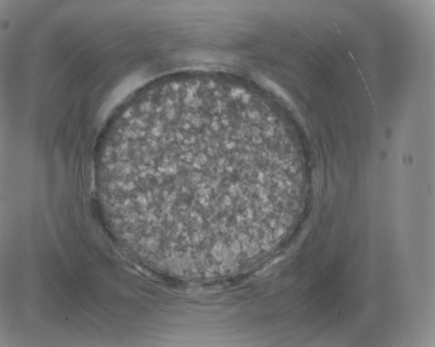 X0000082691267200702232155