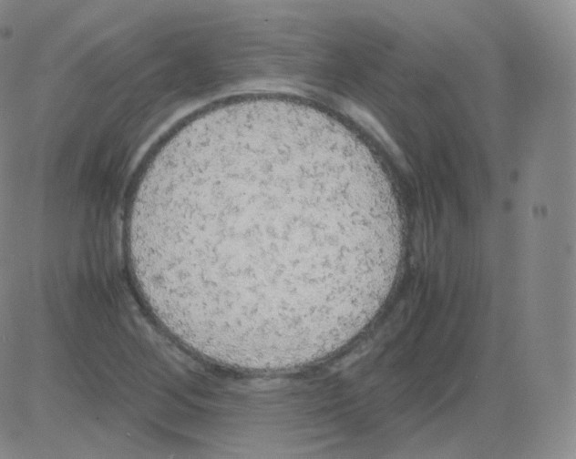 X0000082691268200702232155