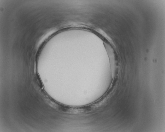 X0000082691269200702232155