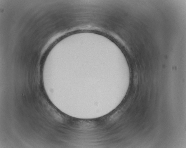 X0000082691270200702232155