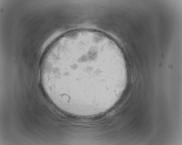 X0000082691271200702232155