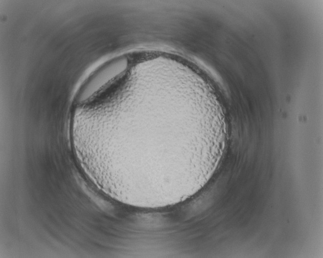 X0000082691272200702232155