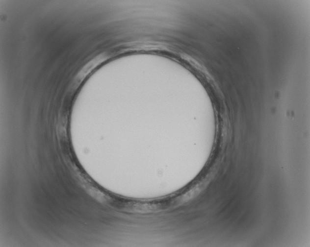 X0000082691273200702232155