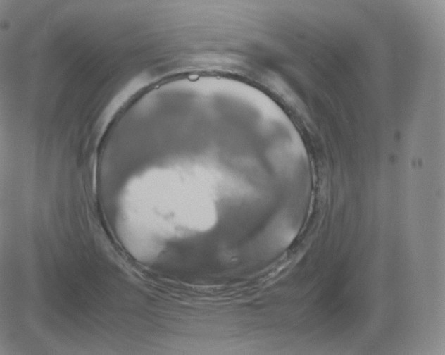 X0000082691275200702232155