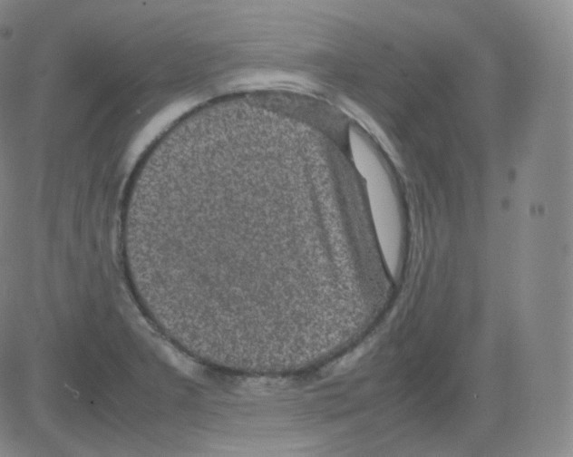 X0000082691277200702232155