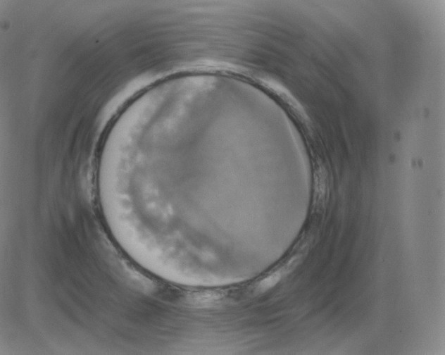 X0000082691278200702232155