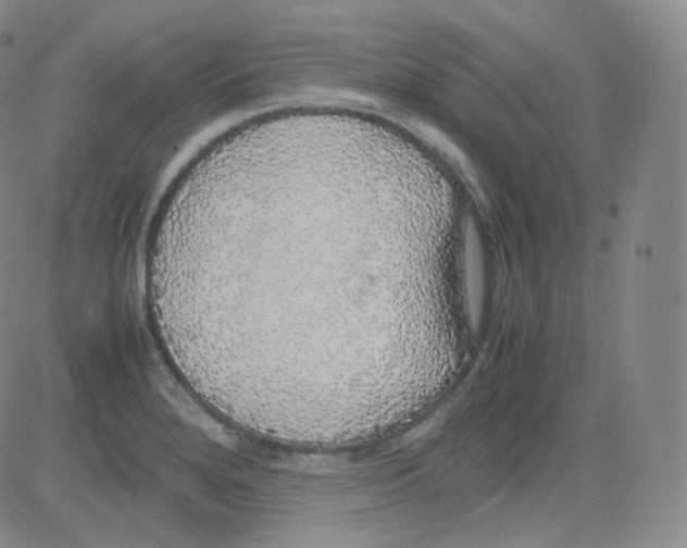 X0000082691280200702232155