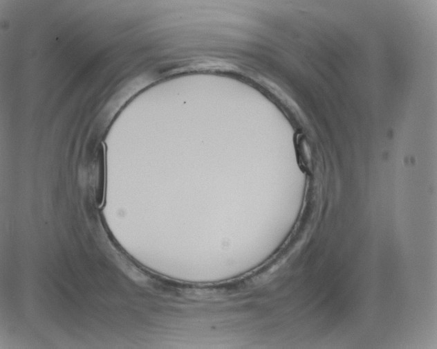 X0000082691281200702232155