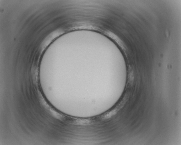 X0000082691282200702232155