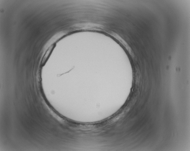 X0000082691285200702232154