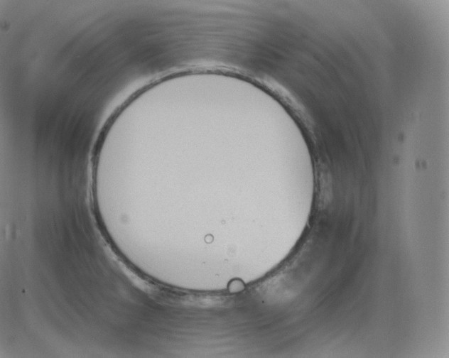 X0000082691286200702232154