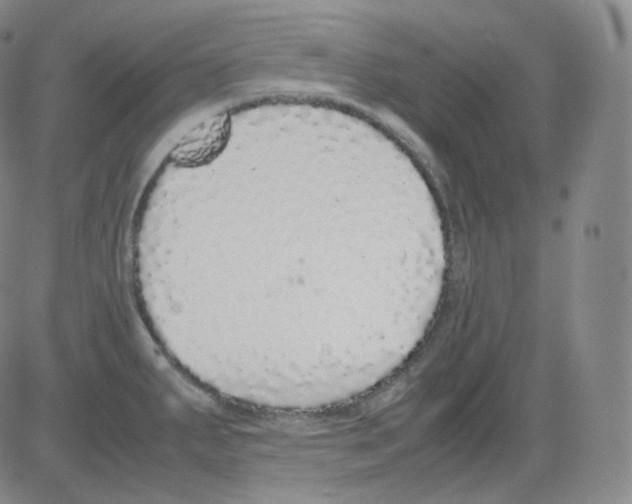 X0000082691287200702232154