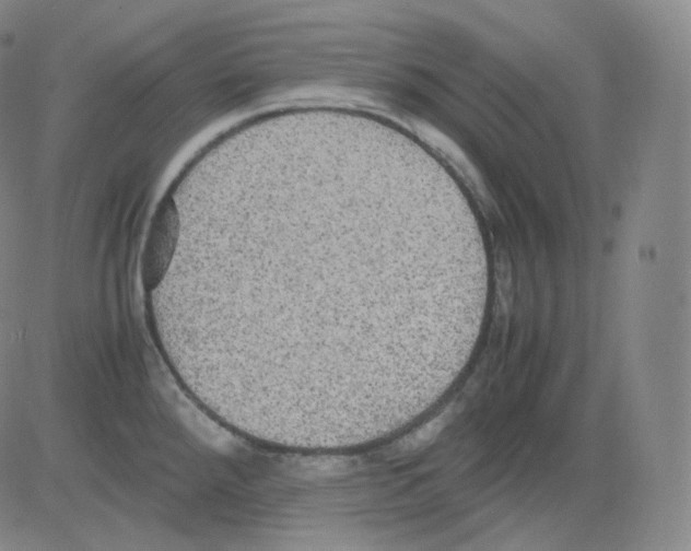 X0000082691288200702232154