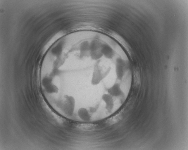 X0000082691290200702232154