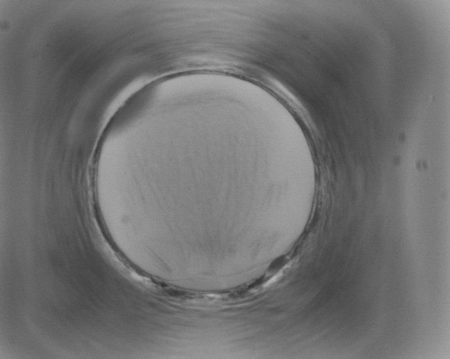 X0000082691291200702232154