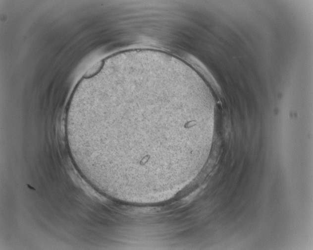 X0000082691292200702232154