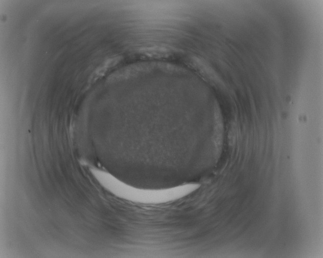 X0000082691298200702232154