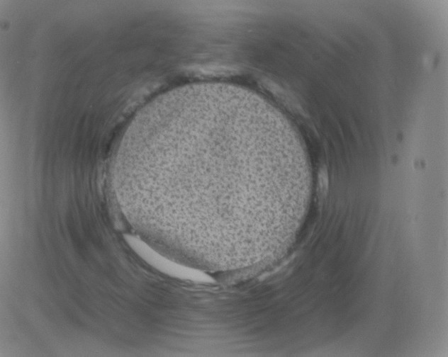 X0000082691300200702232154