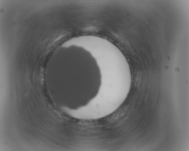 X0000082691301200702232154