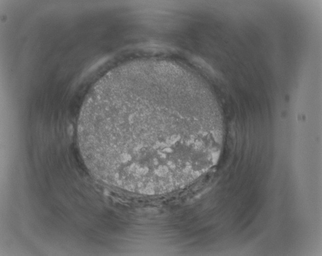 X0000082691302200702232154