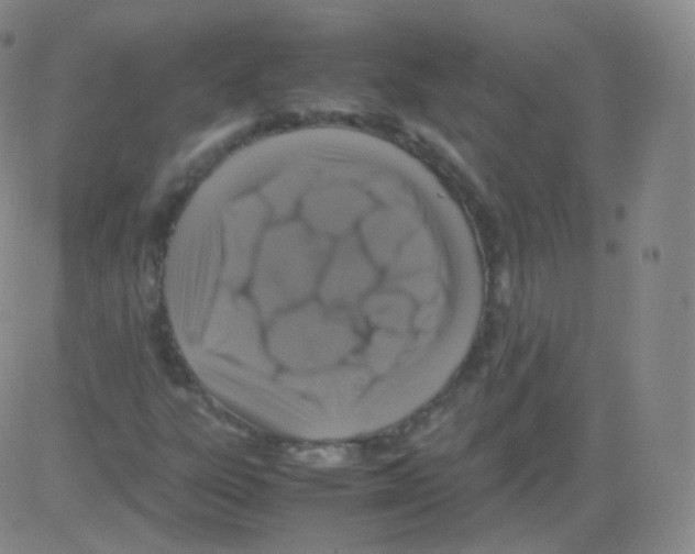 X0000082691303200702232154