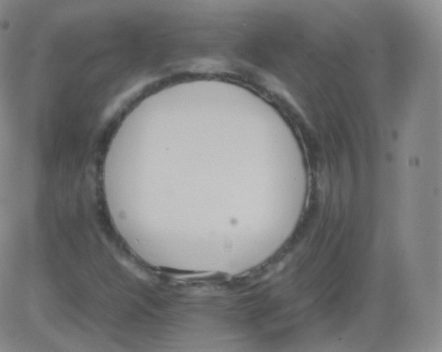 X0000082691304200702232154