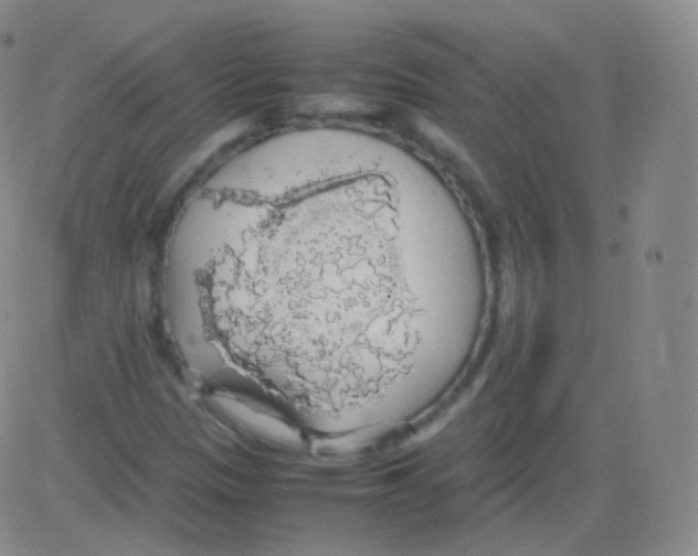 X0000082691305200702232154