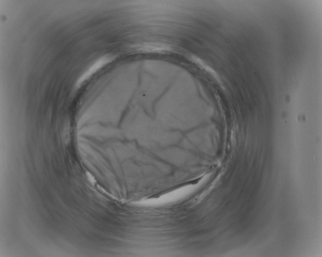 X0000082691306200702232154