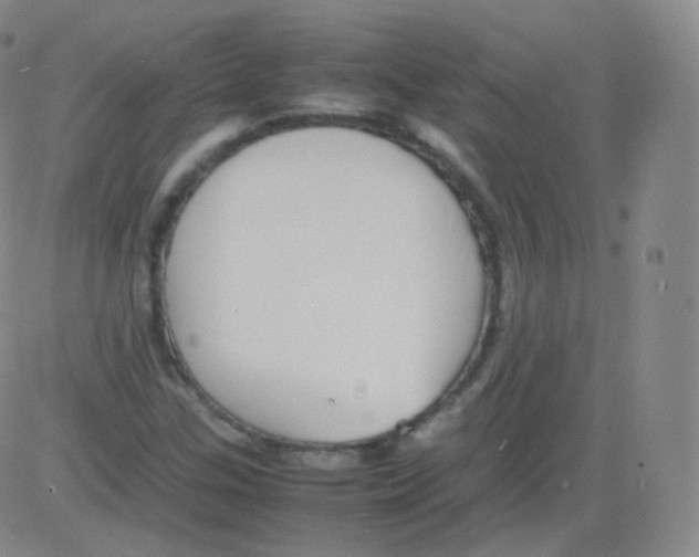 X0000082691307200702232154