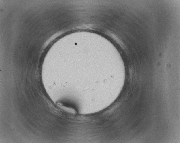 X0000082691308200702232154