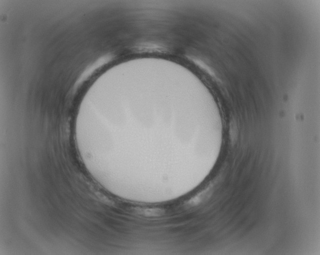 X0000082691309200702232154