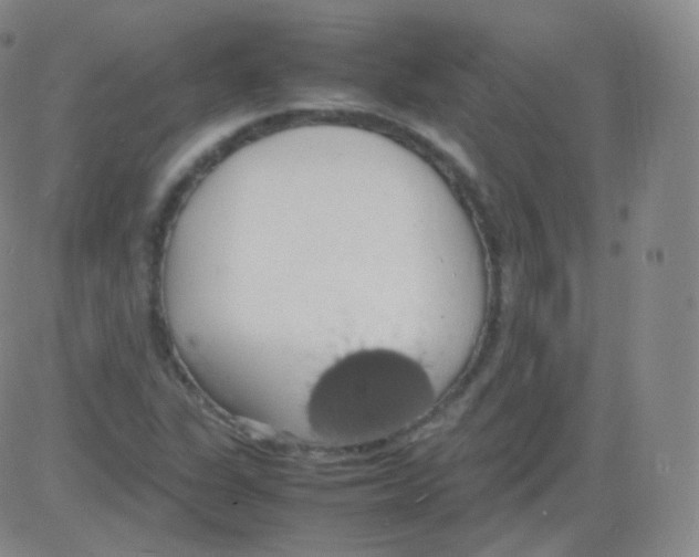 X0000082691311200702232154