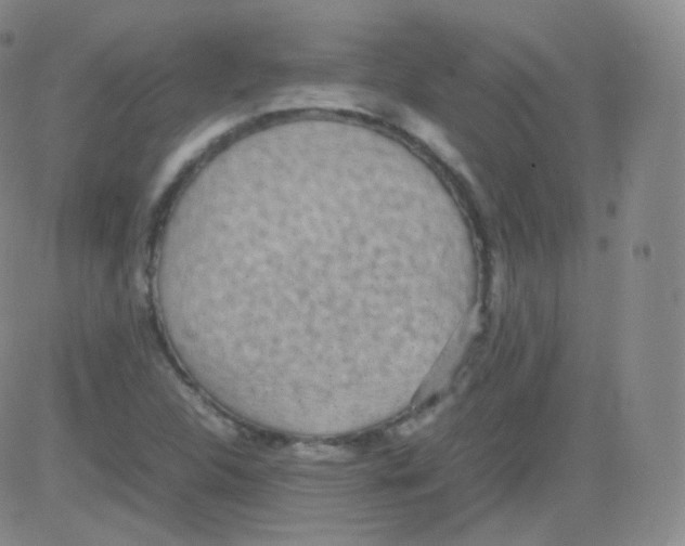 X0000082691312200702232154