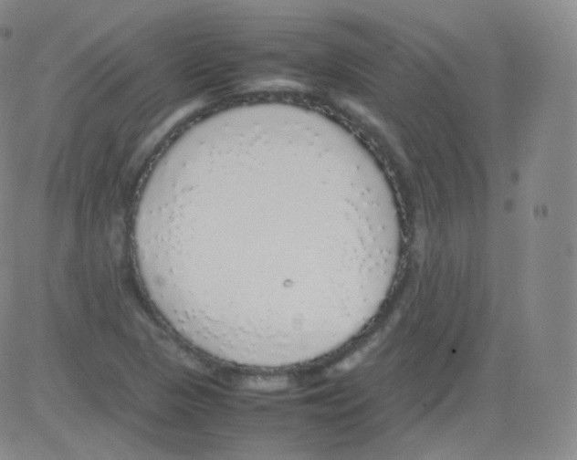 X0000082691313200702232154