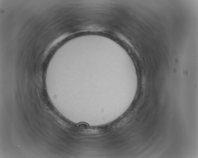 X0000082691315200702232154