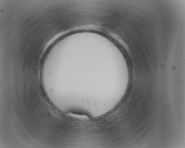 X0000082691316200702232154