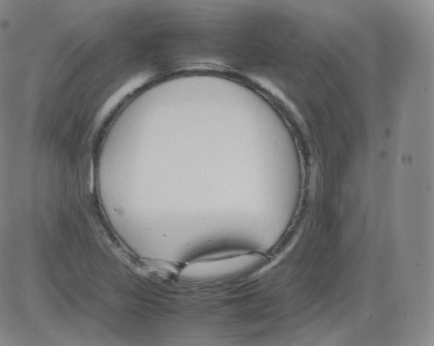 X0000082691317200702232154