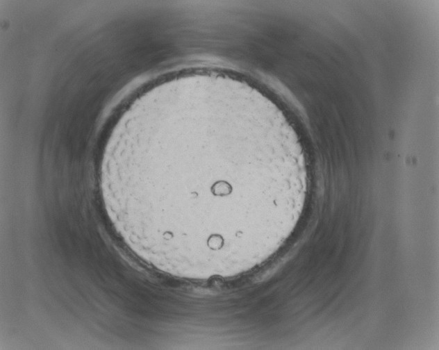 X0000082691318200702232154