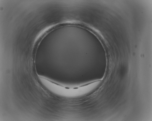 X0000082691319200702232154