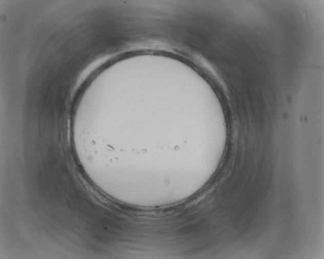 X0000082691320200702232154