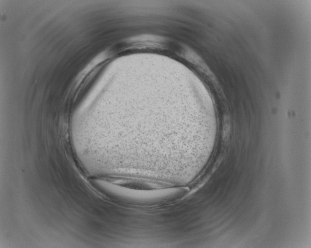 X0000082691321200702232154