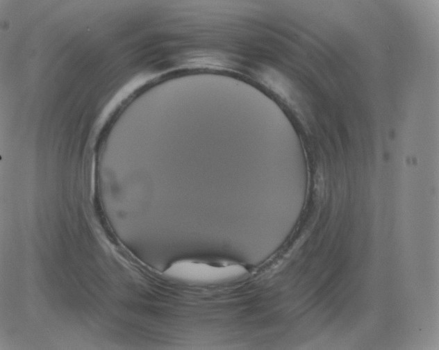 X0000082691323200702232154