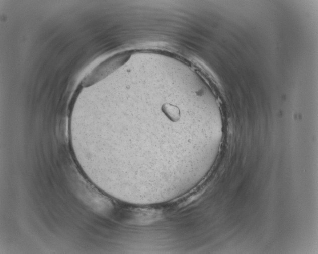 X0000082691324200702232154