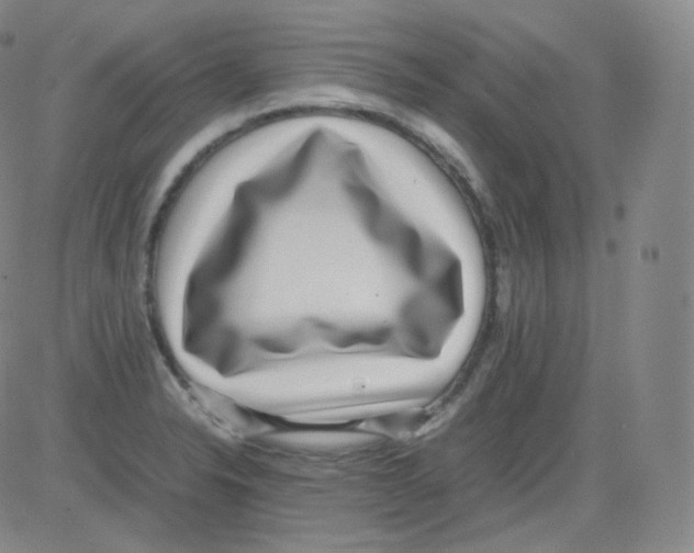 X0000082691326200702232154